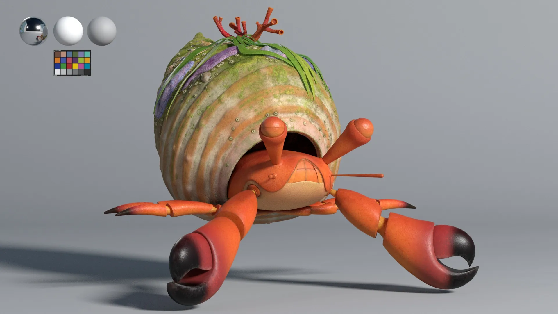 Hermit Crab, image 1 of 4