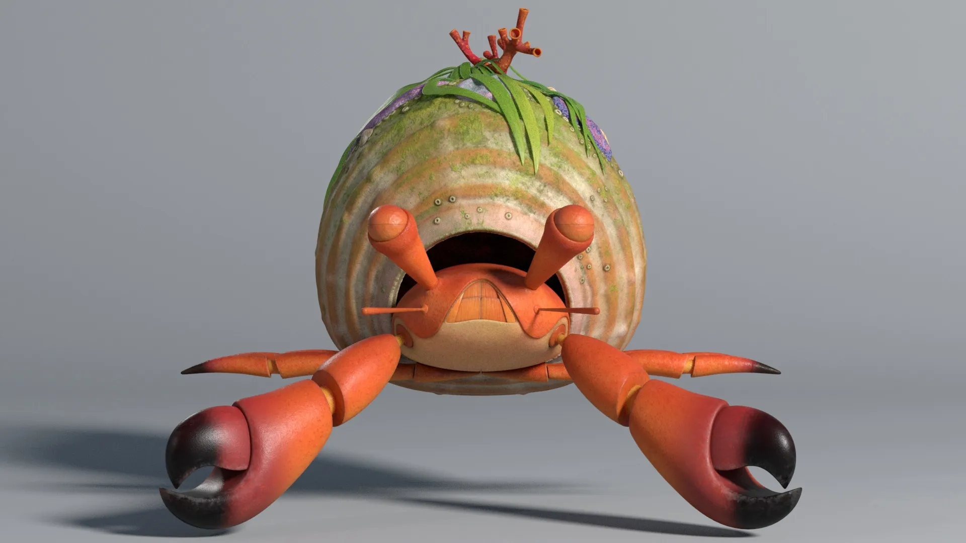 Hermit Crab, image 2 of 4